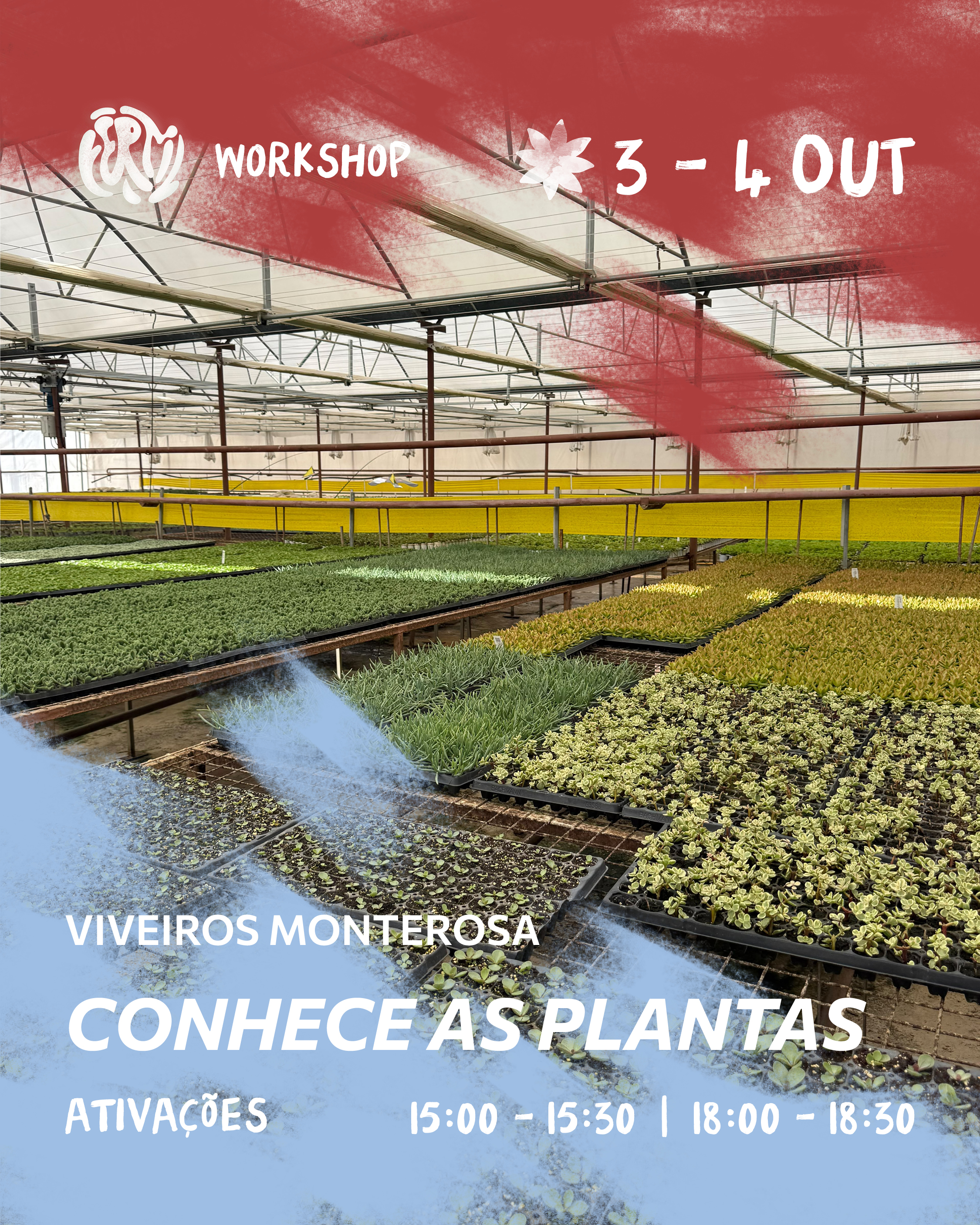 Conhece as plantas - Viveiros Monte Rosa.